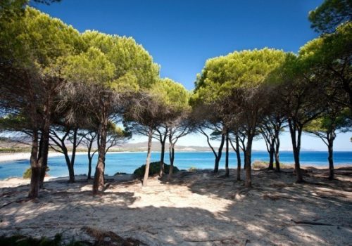 Budoni-Sardegna-600x400
